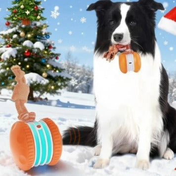 Juguete interactivo para mascotas con forma de bola rodante, recargable por USB