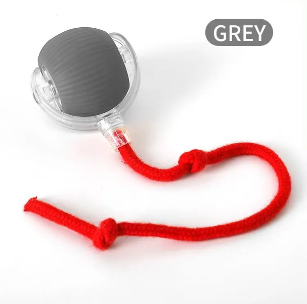 Pelota de juguete PurrPlay autorrodante para gatos