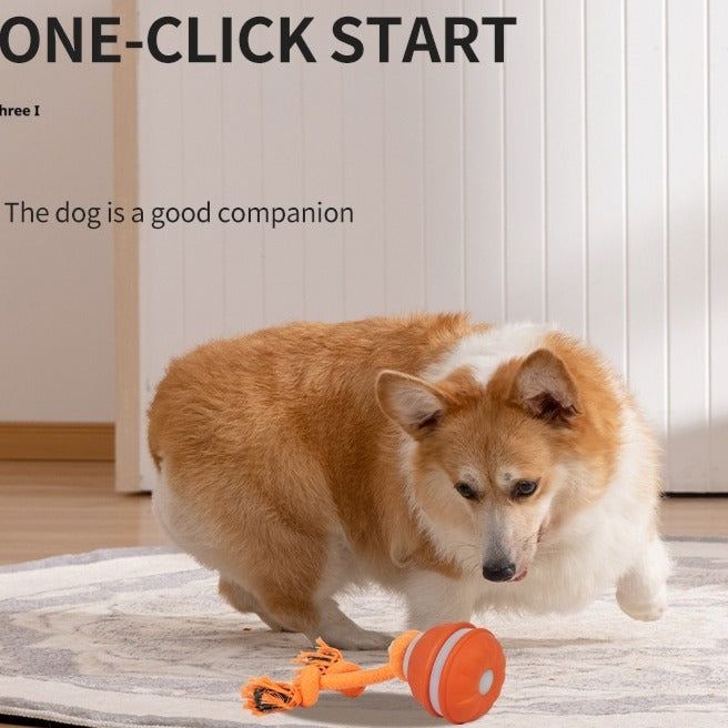 Juguete interactivo para mascotas con forma de bola rodante, recargable por USB